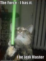 jedicat